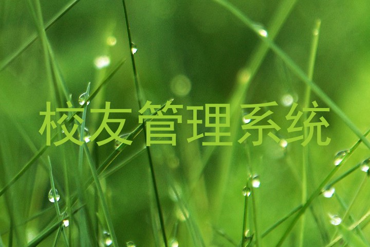 校友管理系统