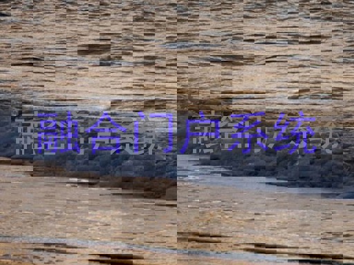 融合门户系统