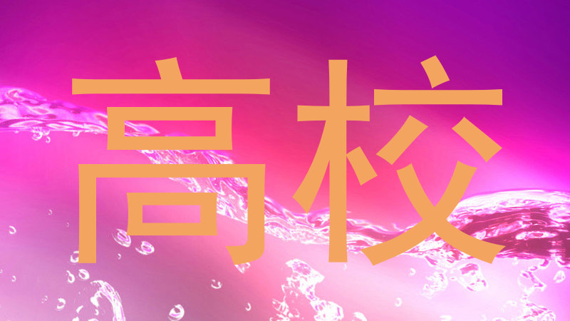 高校