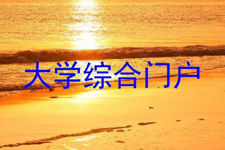 大学综合门户