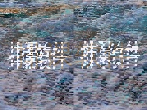 排课软件