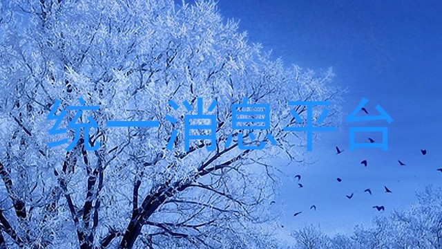 统一消息平台