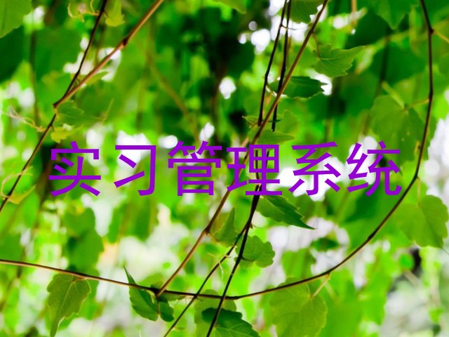 实习管理系统