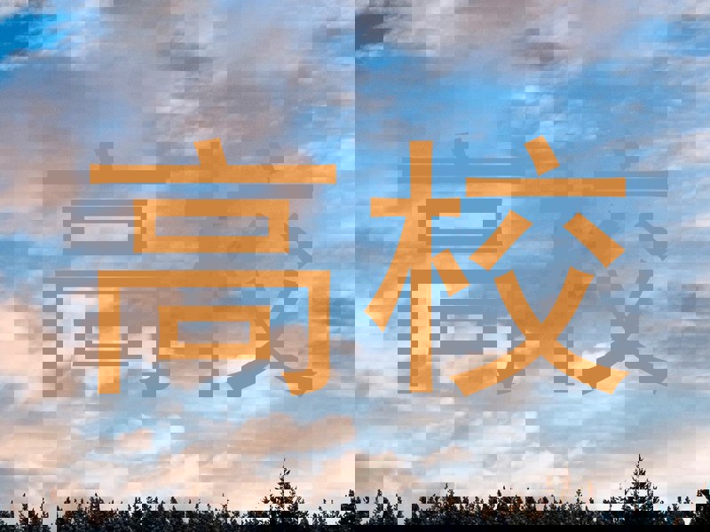高校
