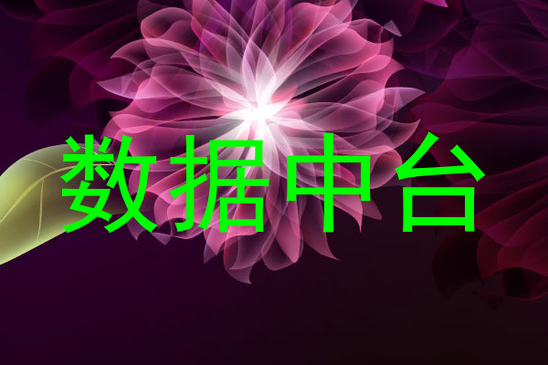 数据中台