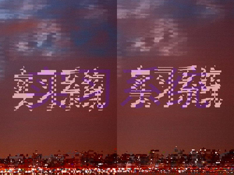 实习系统