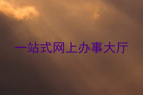 一站式网上办事大厅