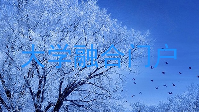 大学融合门户