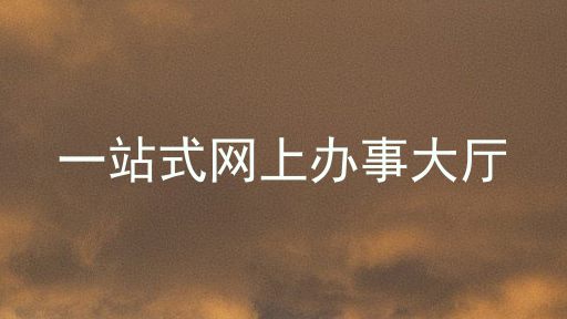 一站式网上办事大厅