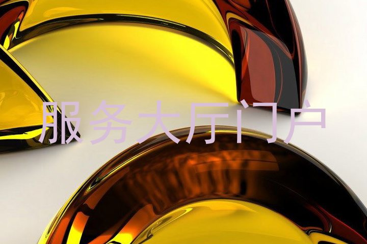服务大厅门户