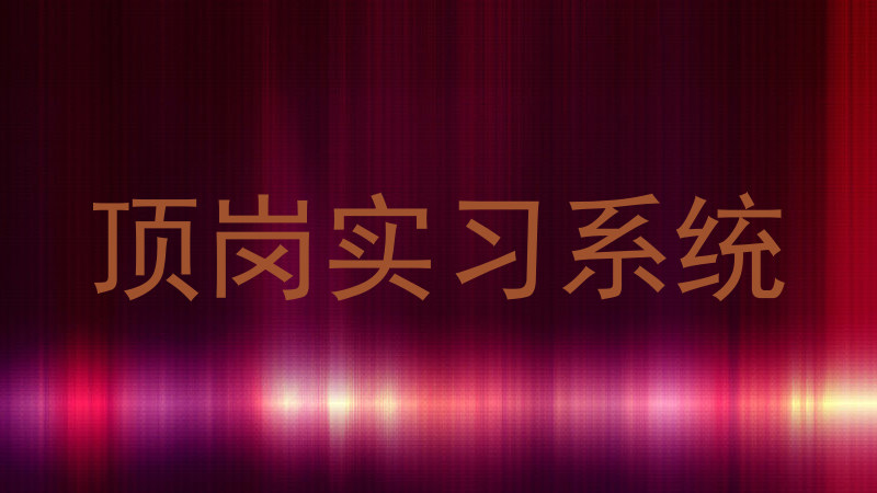 顶岗实习系统