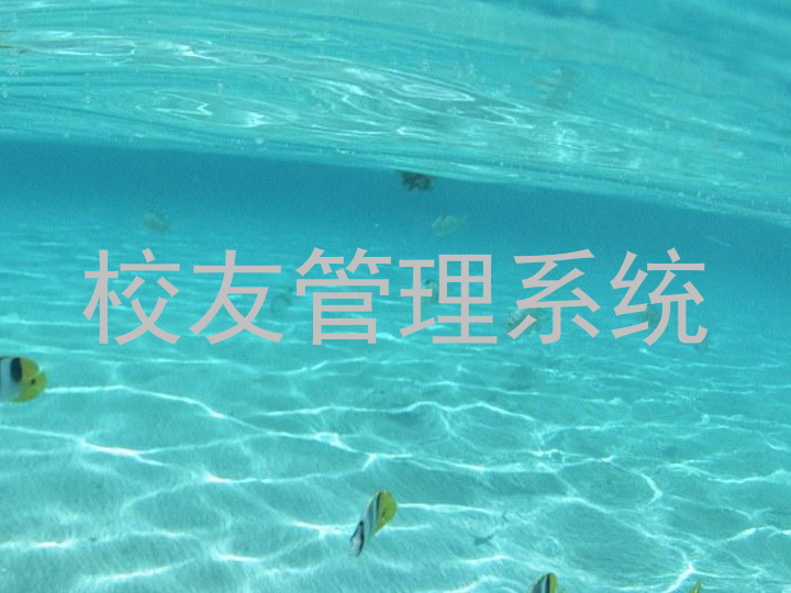 校友管理系统