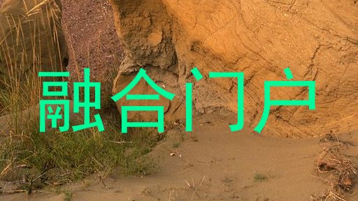 融合门户