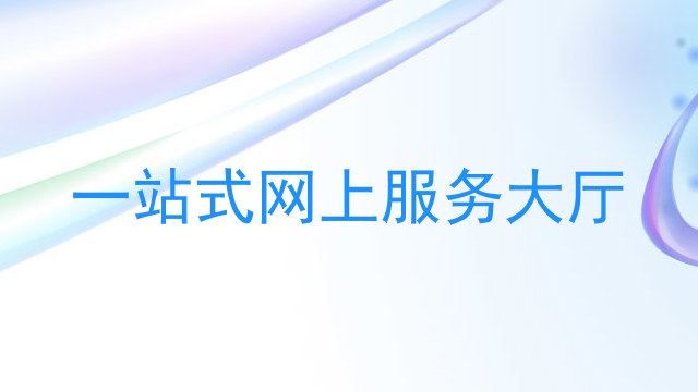 一站式网上服务大厅