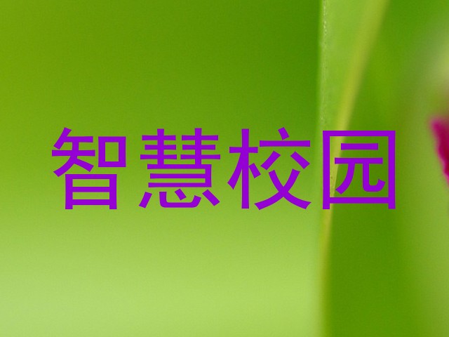 智慧校园