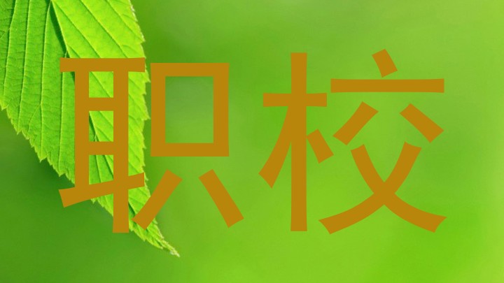 职校