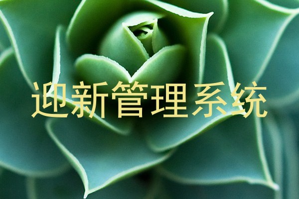 迎新管理系统