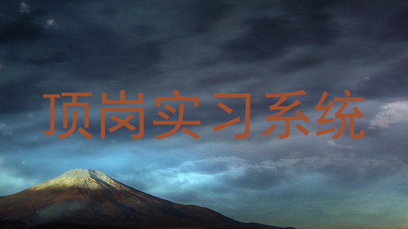 顶岗实习系统