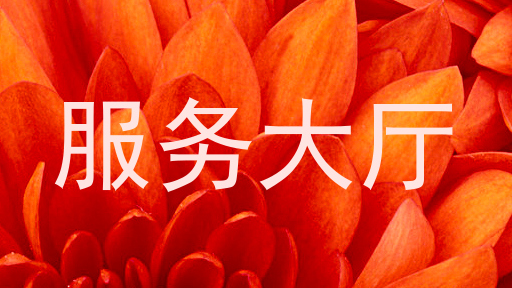 服务大厅