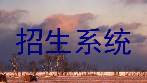 招生系统