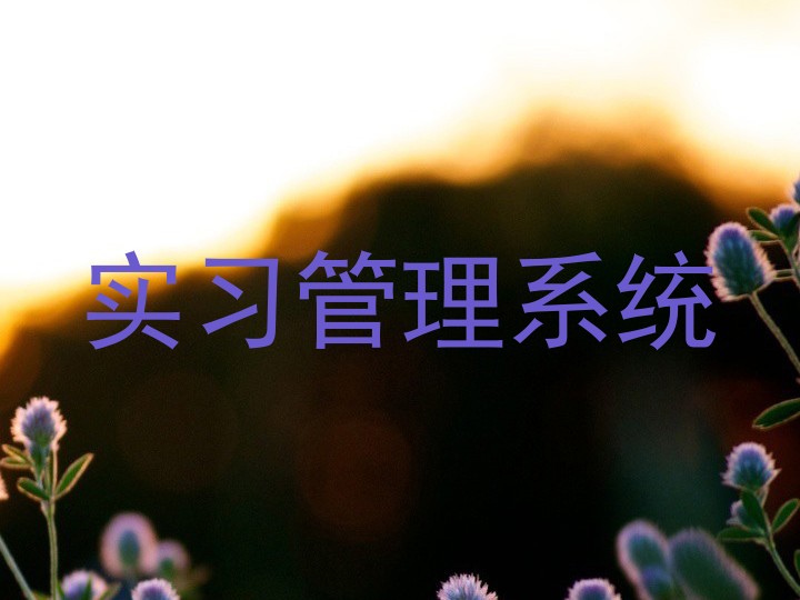 实习管理系统