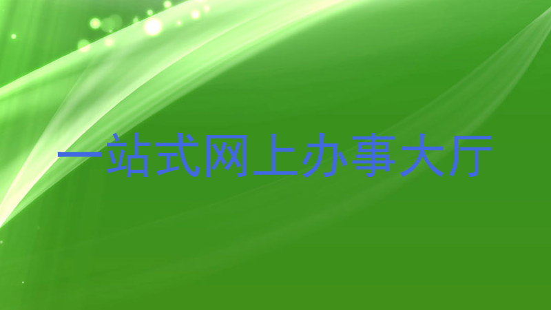 一站式网上办事大厅