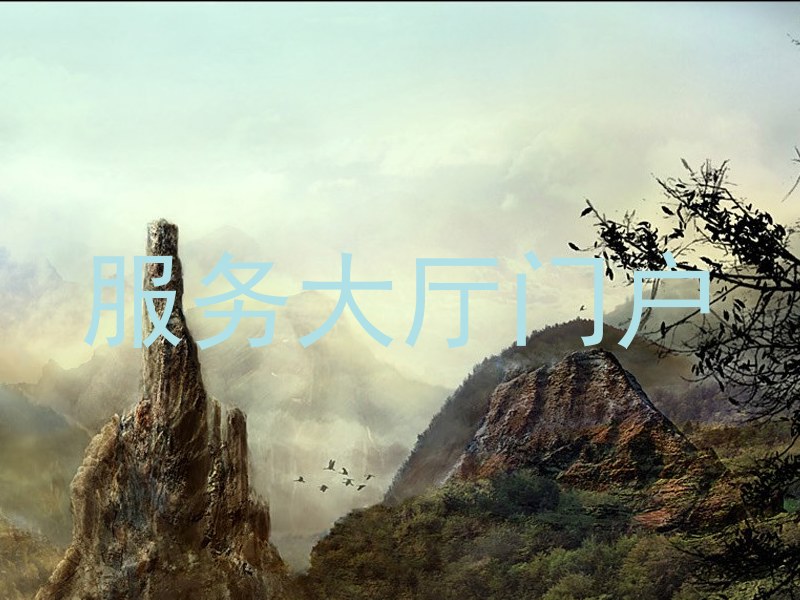 服务大厅门户