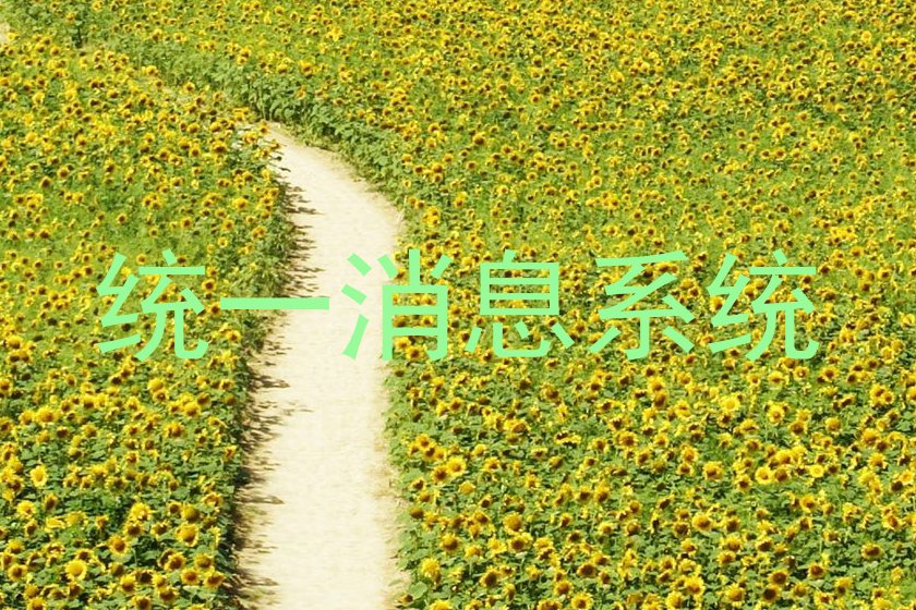 统一消息系统