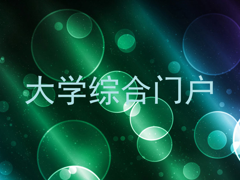 大学综合门户