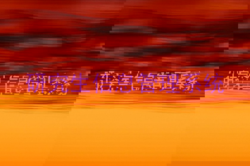 研究生信息管理系统