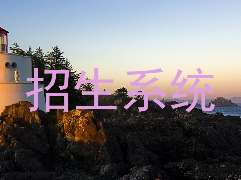 招生系统