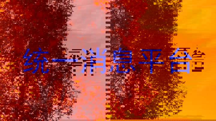 统一消息平台