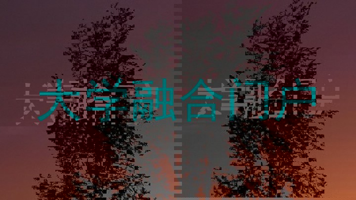 大学融合门户