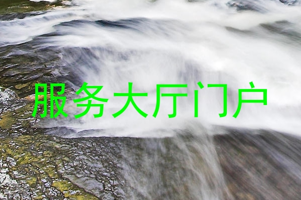服务大厅门户
