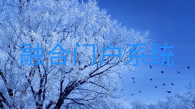 融合门户系统
