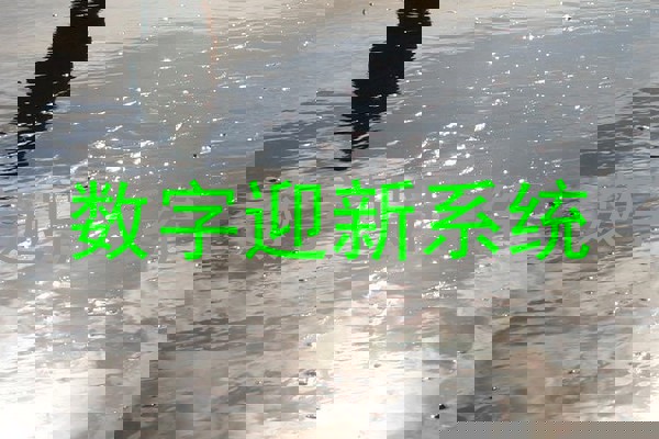 数字迎新系统
