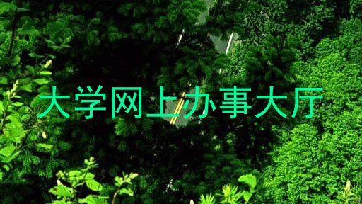 大学网上办事大厅