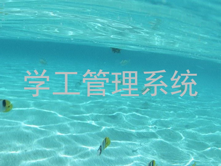 学工管理系统
