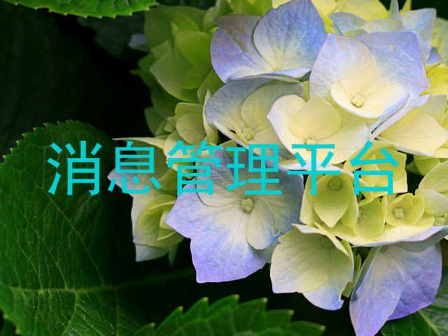 消息管理平台