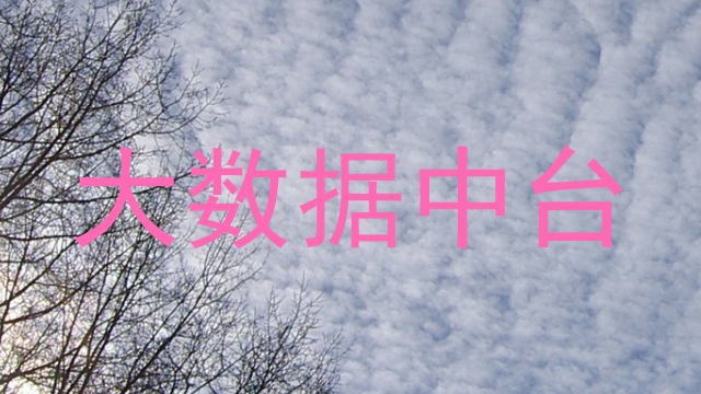 大数据中台