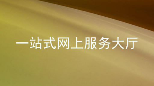 一站式网上服务大厅