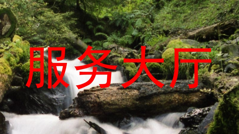 服务大厅