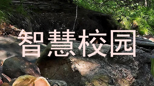 智慧校园