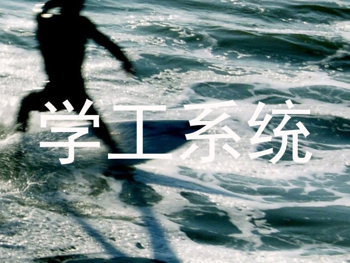 学工系统