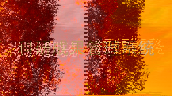 科研成果管理系统