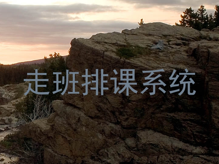 走班排课系统