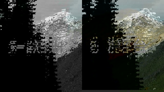 统一消息管理平台