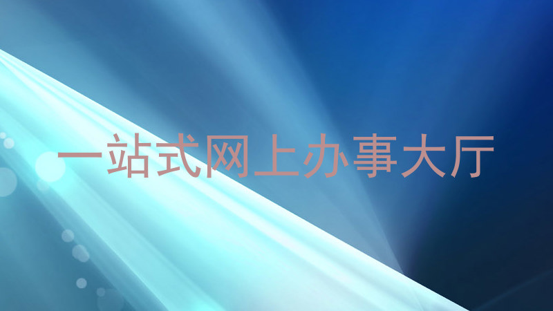 一站式网上办事大厅