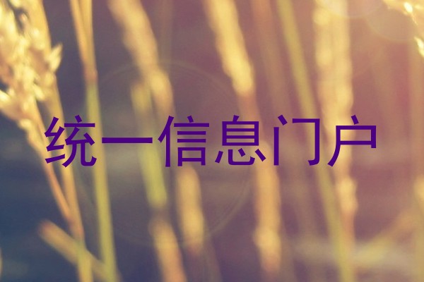 统一信息门户