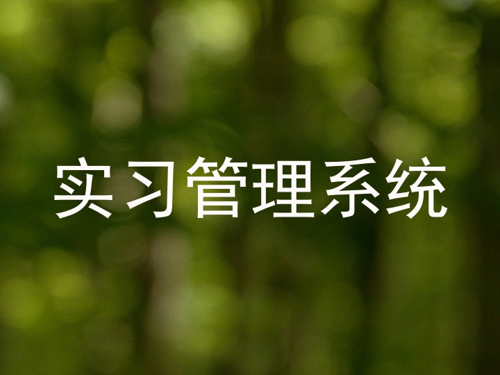 实习管理系统